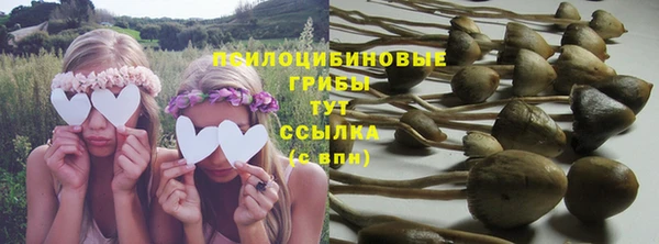 Альфа ПВП Волоколамск